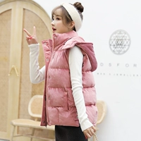 Золотой бархатный розовый