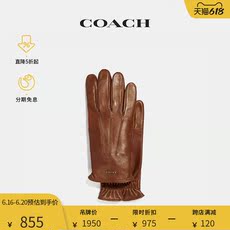 Перчатки coach/蔻驰 秋冬新款休闲潮流男士手套