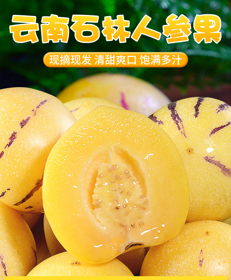 云旮旯 云南石林 人参果 净重4斤 天猫优惠券折后￥16包邮（￥18-2）