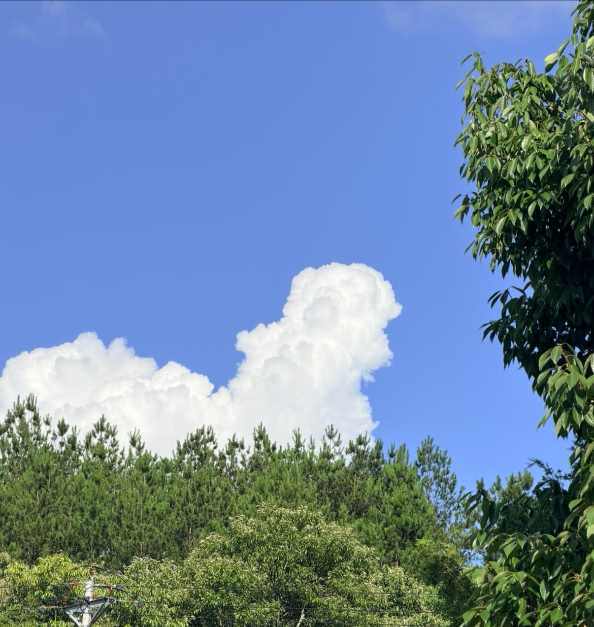 禾源鲜铺土特产