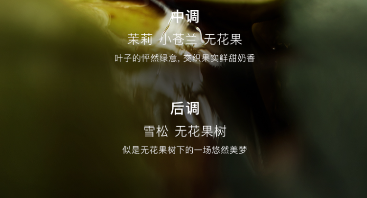 Image120_76782_1