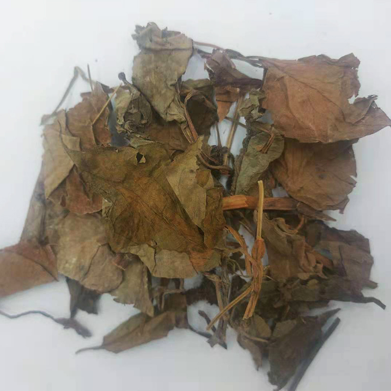 Houthouthone Chinese herbal medicine Fresh dry goods Smell Foul Grass 500 gr g Dog Sticking Ear Root Tea