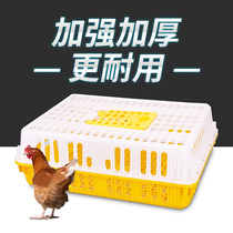 Coop de poulet Transport de poulet Poulet Poulet renforcé de poulet Oie Canard Pigeon Rabbit Transport Cage au poulet Coop en plastique