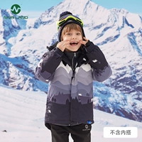 Серо -белый белый медведь