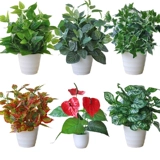 Моделирование зеленый ткацкий ткацкий ткац