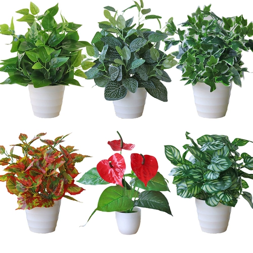 Моделирование зеленый ткацкий ткацкий ткац