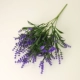 1 половина куста лаванды пурпурно