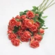 【6 балок Nanyang Rose Orange】