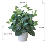 Моделирование зеленый ткацкий ткацкий ткац