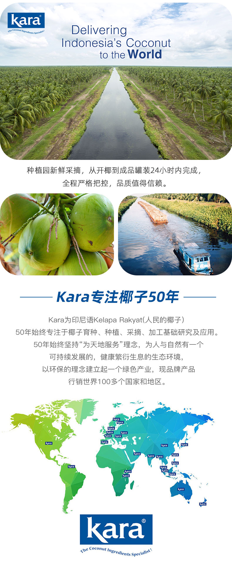 Kara牌醇正椰浆65ml*12佳乐