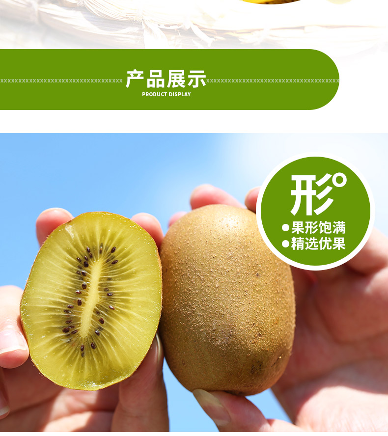 四川新鲜黄心猕猴桃12个整箱