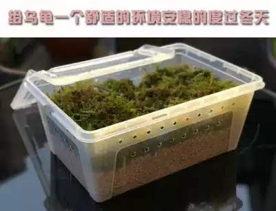 Turtle hibernation incubator Turtle winter equipment pet incubator turtle hibernation box reptile box