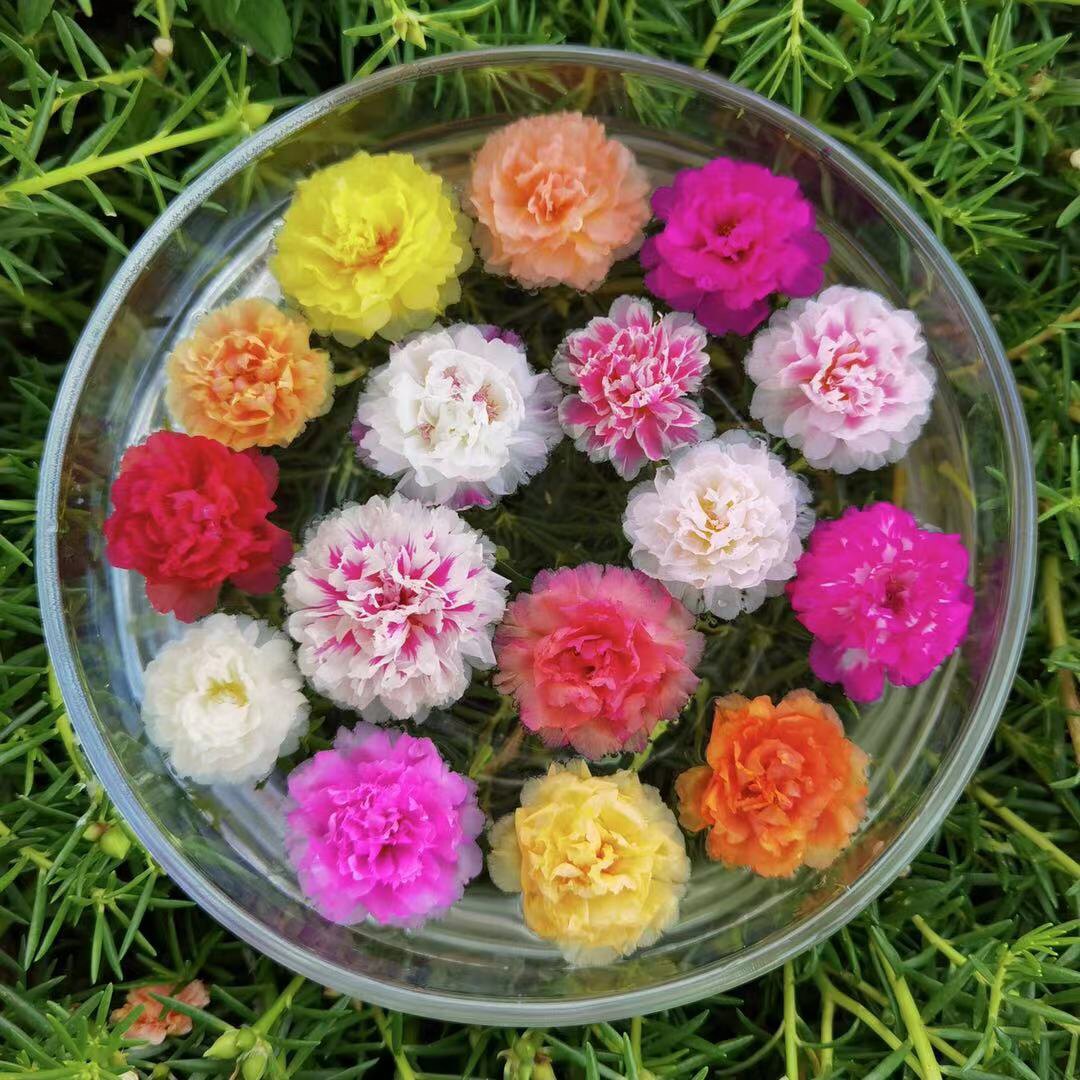 馋音鲜花园艺的LOGO