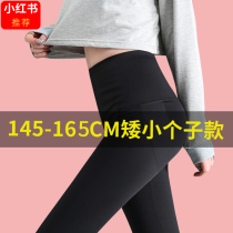 Small sub shark pants high waist and summer thin out woman wearing 80% beats bottom pants to collect hip and hip Barbie yoga 90%