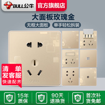Bull Switch Socket Gold G18 One Open Single Control Dual Control Network Cable TV USB Five Holes 10A Air Conditioning 16A Concealed