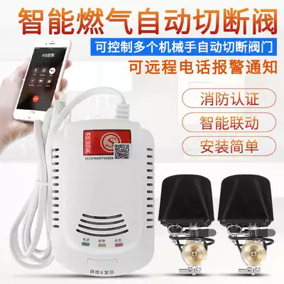 Networked gas alarm one drag two Gas Gas gas liquefied gas leakage manipulator Fire Certification