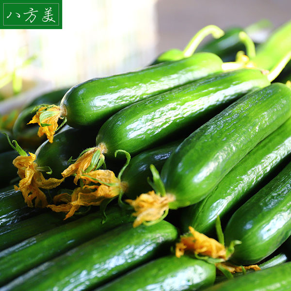 八方美 山东寿光 新鲜水果小黄瓜 5斤天猫优惠券折后¥16.8包邮(¥21.8-5) 八方美 山东寿光 新鲜水果小黄瓜 5斤天猫优惠券折后¥16.8包邮(¥21.8-5)