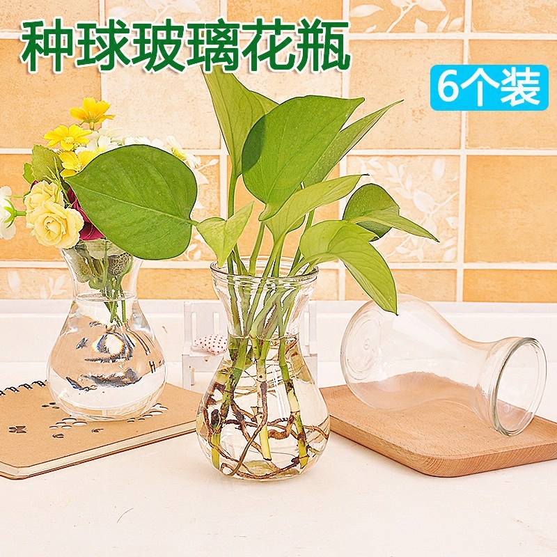 Creative Hydroponic Glass Plant Container Flower Arrangement Bottle Green Lori Water Fairy Flower Bottle Flower Arrangement Bottle Transparent Flower Pot Wind Letter Bottle-Taobao