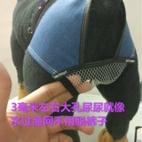 Профилактика менструальных преследования Физиологические штаны Санигитарные эстральные салфетки, собаки, собаки и собаки, физиологические брюки, признание, нормальное