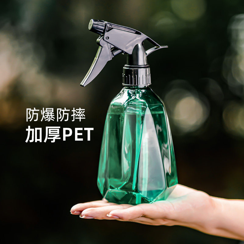 Spray Pot Small Spray Water Jug Pressure Watering Kettle Air Pressure Cleaning Special Thever Home Small Number Raising Flower Spray Pot-Taobao