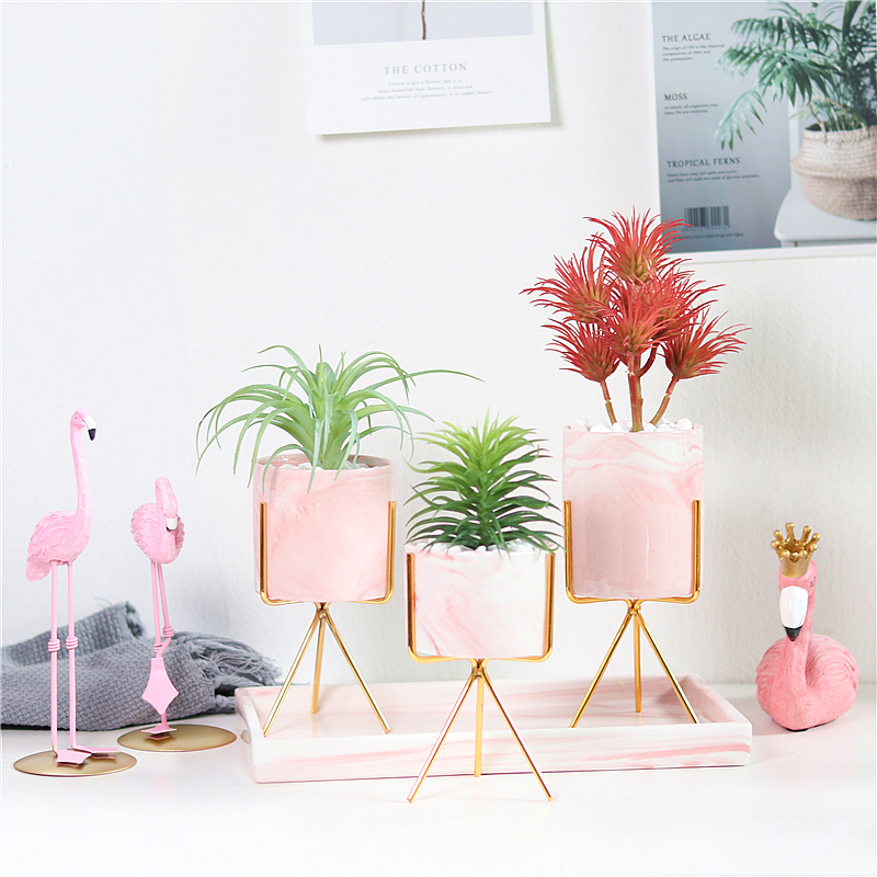 Boreal Europe style decoration small bonsai simulation ceramics meaty plant cactus potted flowers, green plant furnishing articles sitting room