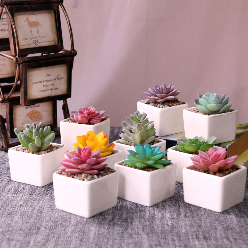 False flower small potted plant simulation, fleshy False fleshy white ceramic flower pot furnishing articles home office desktop