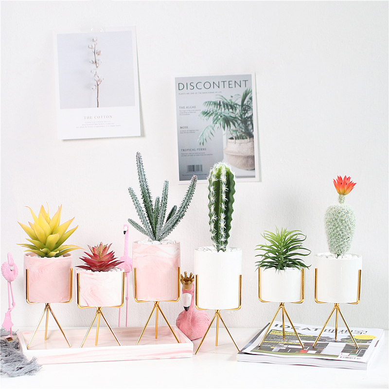 Boreal Europe style decoration small bonsai simulation ceramics meaty plant cactus potted flowers, green plant furnishing articles sitting room