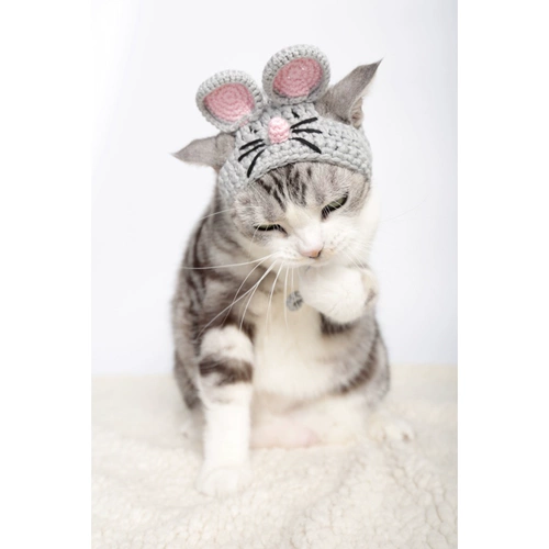 Семья Бао Семейство Unpeat Кот и собака Pure Cotton Cute Peach Festival Hat Pure Hand -Fail Christmas Pet Clothing