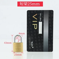 25 -миллиметровый независимый блокировка [горячая продажа] (2 ключа)