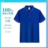 100% Ice Ion Fiber [Princess] ZC-2860