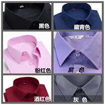 Banking Corporation Tax Special Fake-collar Lapes Men and Women General Anti-wrinkle Shirt False Collar False Collar
