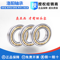 Luoyang machinery spindle special bearing N217 218 219 220 221 222 226 228 232