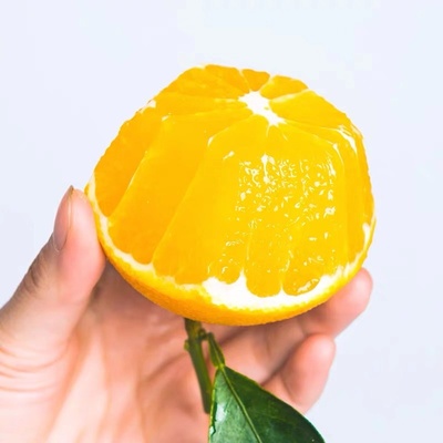 【坏果包赔！】高山脐橙净重9斤