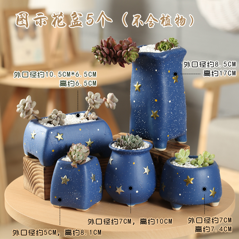 Fleshy large special breathable simple retro new basin exchanger with the ceramics flower POTS potted plant coarse pottery diameter from running