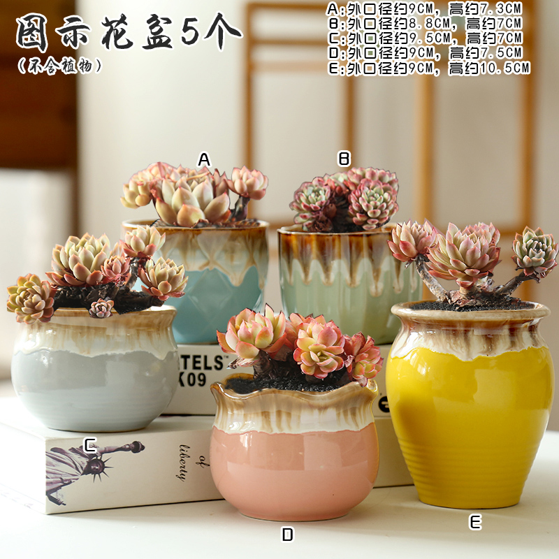 The End flow flowerpot ceramic glaze through pockets tao, fleshy special package mail flower pot in meat meat clearance indoor the plants