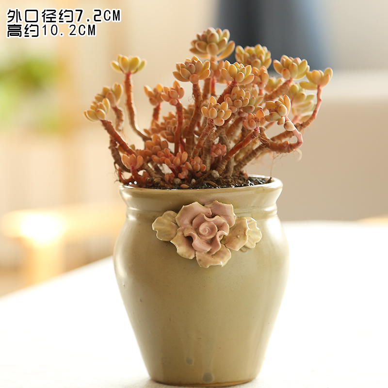 End fleshy flower pot small platter pinch flower Korean big caliber combination old running the creative special indoor ceramic POTS