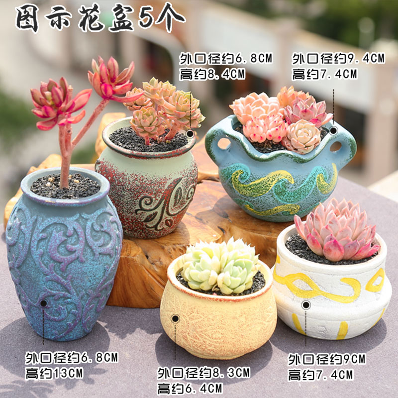 Fleshy large special breathable simple retro new basin exchanger with the ceramics flower POTS potted plant coarse pottery diameter from running