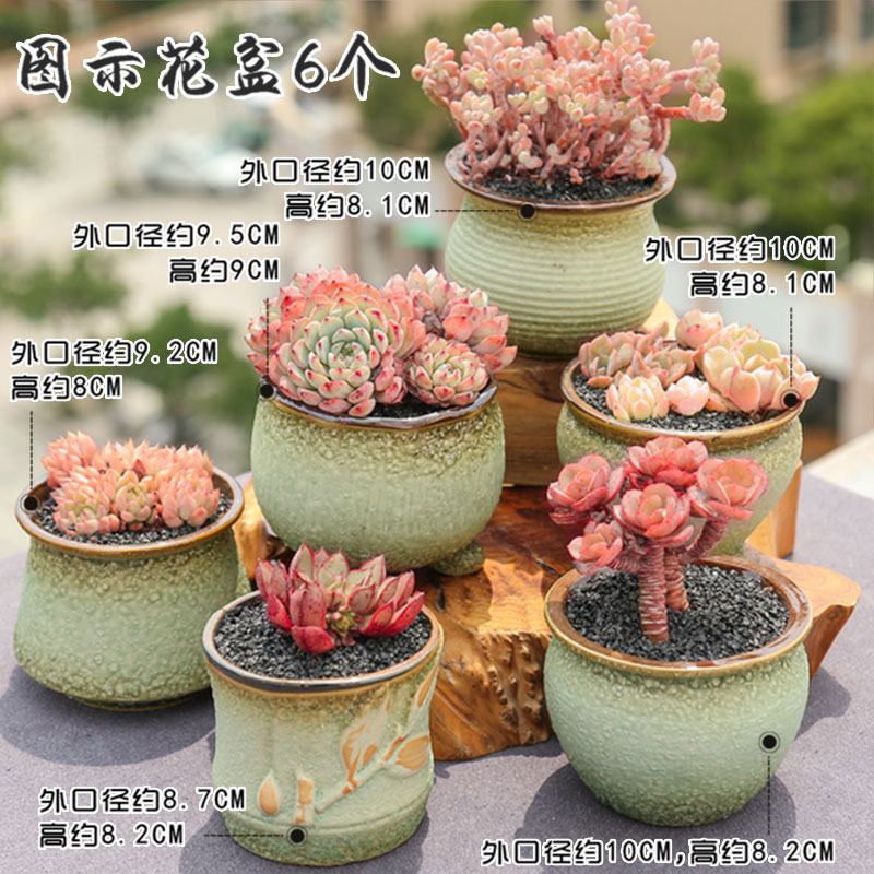 Fleshy large special breathable simple retro new basin exchanger with the ceramics flower POTS potted plant coarse pottery diameter from running