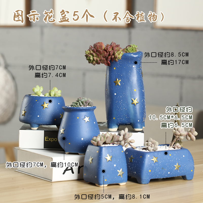 Fleshy ceramic special package mail clearance coarse pottery flowerpot contracted household creative breathable potted big thumb size