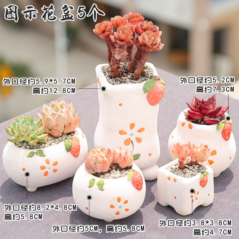 End flowerpot ceramic sale indoor the plants, fleshy meat meat clearance diameter platter small flower pot in coarse pottery