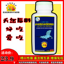 Maned lion lizard food larval adult lizard gatekeeper full-term feed food