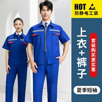 Ярко-синий летний набор с полумори