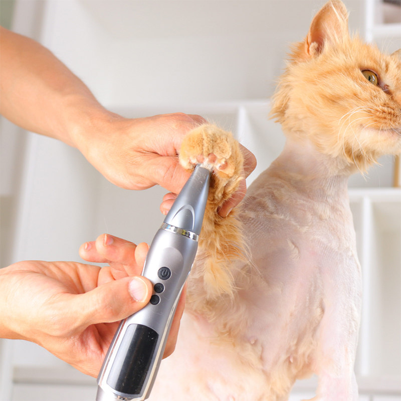 Pet Shave Woolen Machine Cat Shave feet Sole Pooch pooch Sole Pedicure Fur Instrumental Trims kitsch Cat Hairdresser Pushers