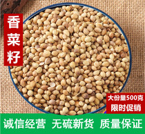 Spice Large Full Batch Hair Caramei Coriander Seeds Coriander Seeds Hut Seeds Haliander Stew Hot Pot can be powder 500g