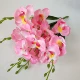 [Đóng cửa bán lỗ] Mô phỏng bó hoa nhựa hoa khô hoa lụa hoa nhân tạo phòng khách đặt phòng ngủ đặt hoa - Hoa nhân tạo / Cây / Trái cây