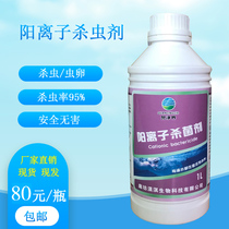 Cationic fungicide bromine-free and chlorine-free disinfectant children's pool baby swimming pool hot spring pool disinfection and sterilization agent
