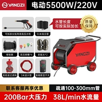 5500W, 220v, 38, 300mm