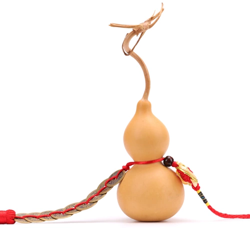 Кулон натуральной тыквы