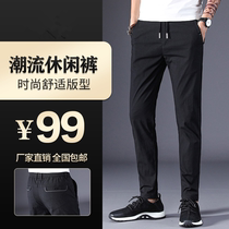 Rich trifolium online store summer mens business casual pants stretch slim 1916 fashion trend mens pants trousers