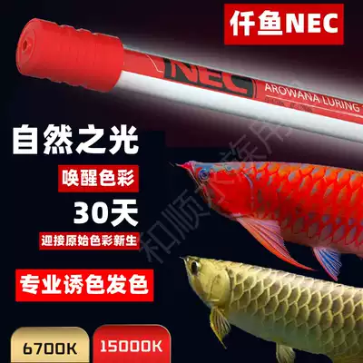 Japan Inc Red Dragon special hair color lamp color color fish three basic color fish tank light red dragon dragon fish light diving light